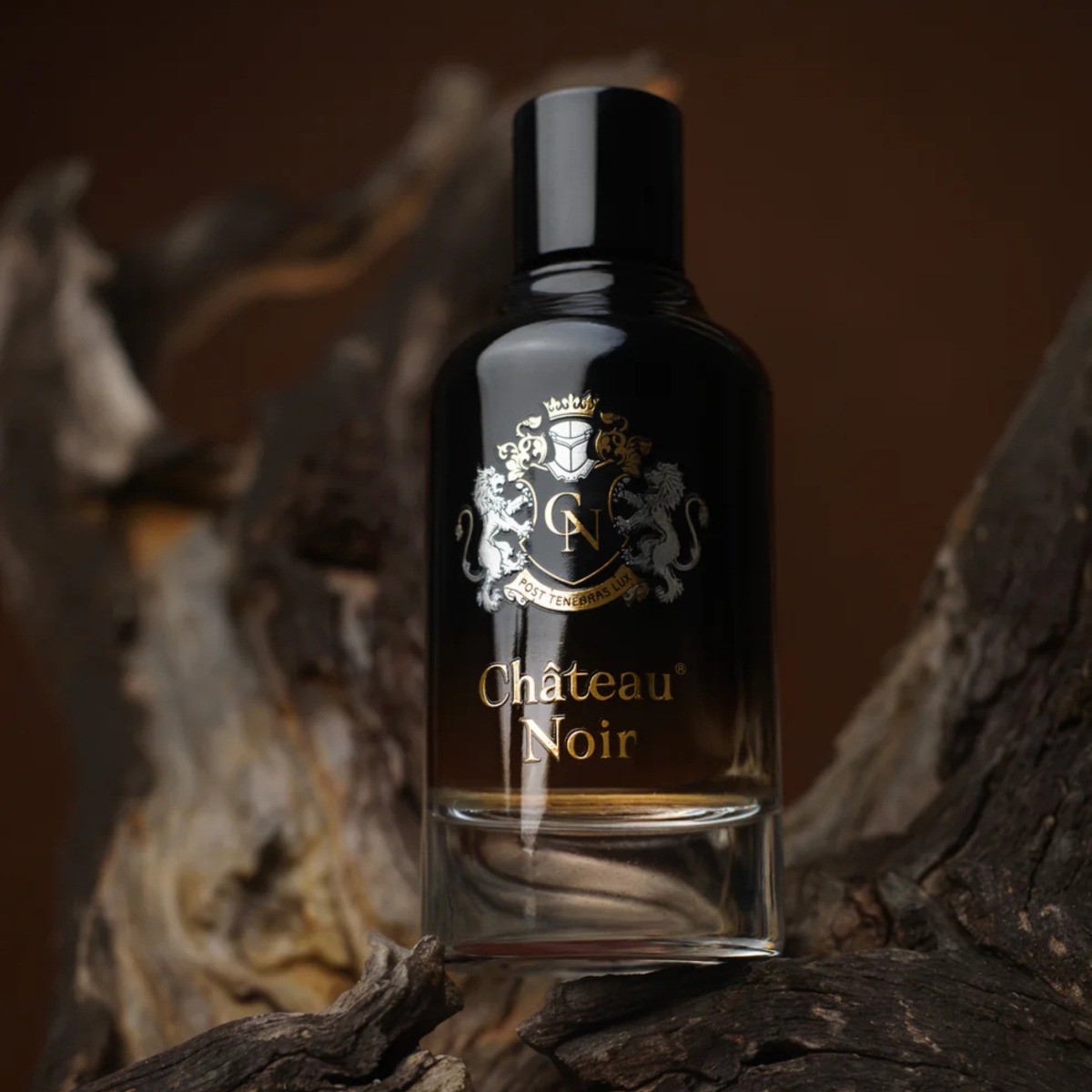 Paris Bleu Château Noir EDP 100ml - 3
