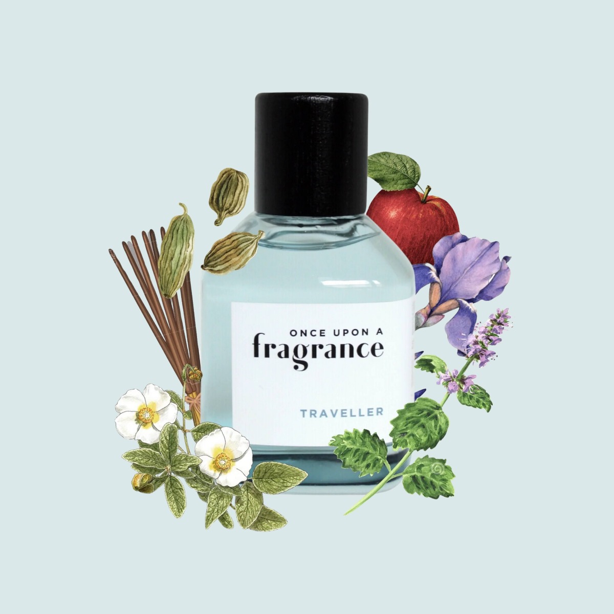 Once Upon a Fragrance Traveller EDT 100ml - 3