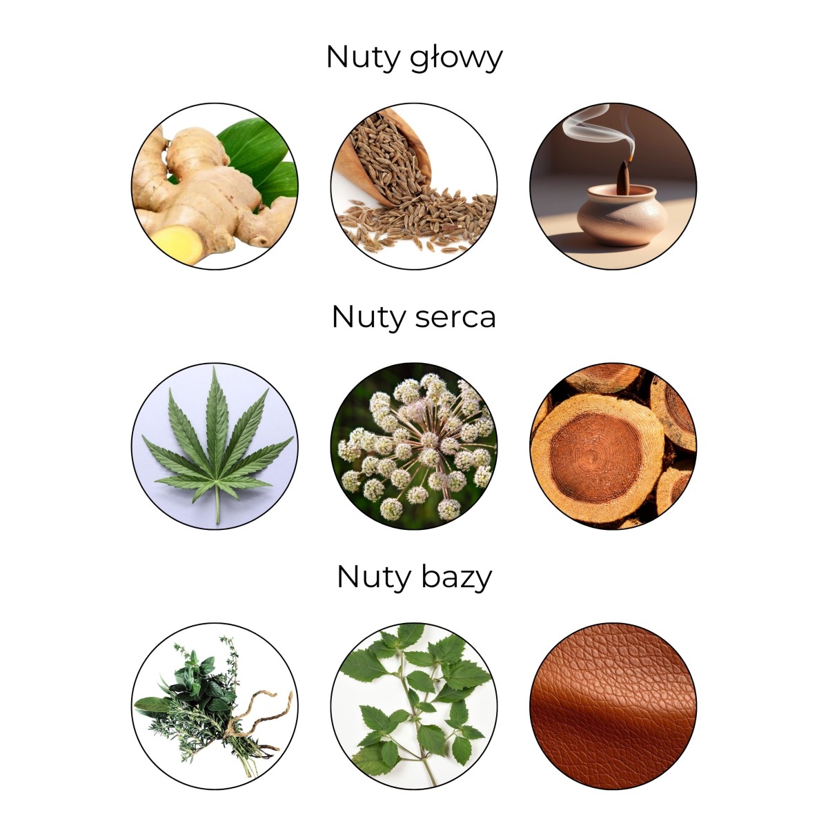 INDIA Woda toaletowa męska z nutą konopi 100 ml - 4