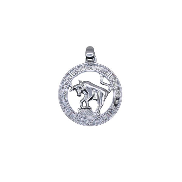 Zawieszka ze stali chirurgicznej Znaki zodiaku 316L Odcień: Srebrny